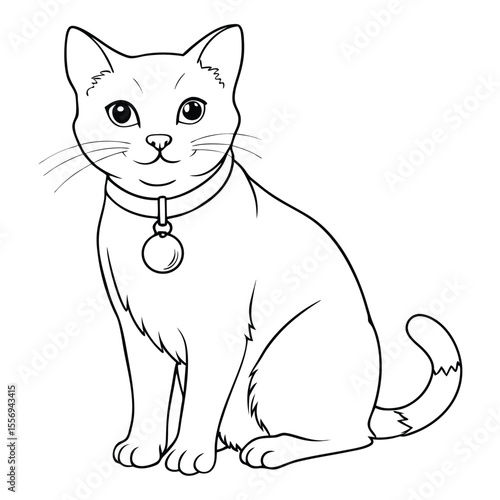 A cat wearing a collar with a tag feline animal