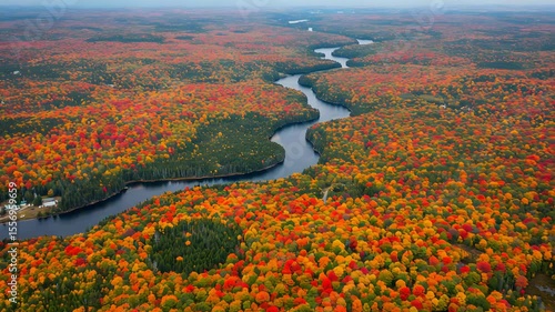 Aerial View of Colorful Autumn Forest Landscape with River Winding Through the Trees in Orange Yellow Red and Green Color