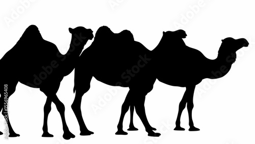 Silhouette depiction of three camels standing in a row against a white background view of desert animals