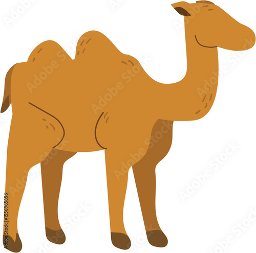 camel cartoon illustration