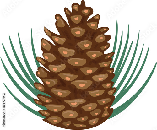 vector illustration of a pine cone
