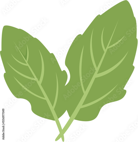 vector illustration of green leaf