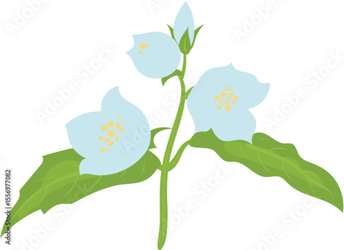 vector illustration of a blue flower