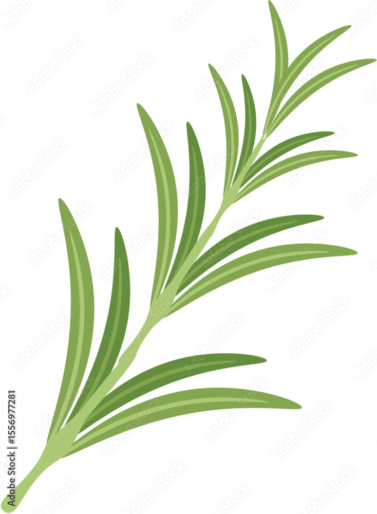 Obraz premium fresh green leaves