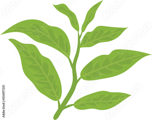 fresh green leaves