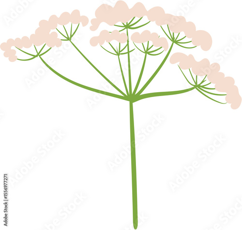 vector illustration of a green flower