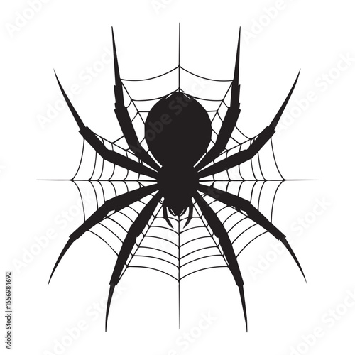"Spider silhouette on web" vector art" isolate black and white background