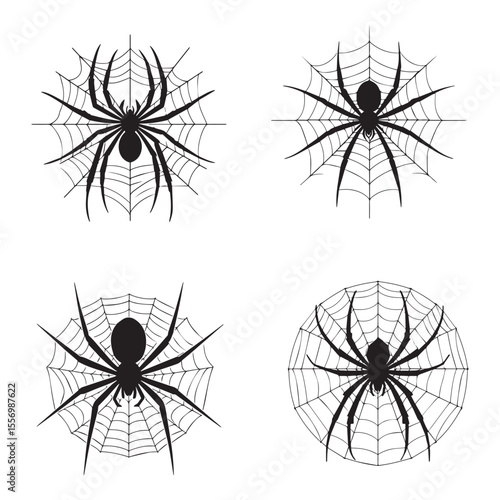 "Spider silhouette on web" vector art" isolate black and white background