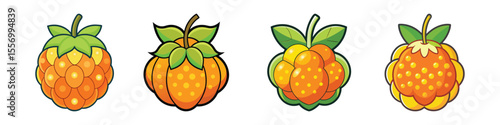 Cloudberry Fruit Flat Illustration in Simple Minimalist Flat Style