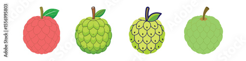 Custard Apple Flat Illustration in Simple Minimalist Flat Style