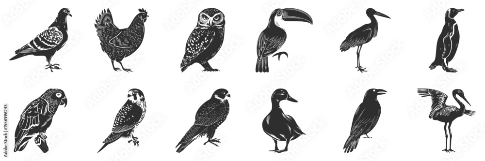 Obraz premium Bird Silhouettes Collection. Diverse Avian Species In Black And White Illustrations Isolated Vector Illustration Collection