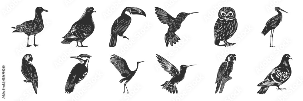 Fototapeta premium Bird Silhouettes Collection. Diverse Bird Species In Detailed Silhouette Illustrations Isolated Vector Illustration Collection