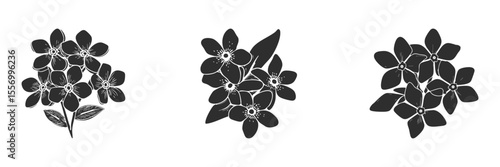 Floral Silhouette Set. Botanical Art And Design Elements Isolated Vector Illustration Collection