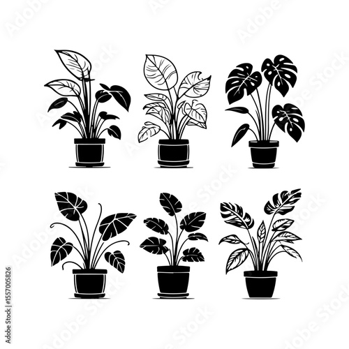 Silhouette design elements for design universal template, simple template design isolated on white background.