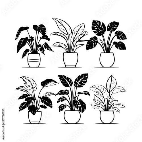 Silhouette design elements for design universal template, simple template design isolated on white background.
