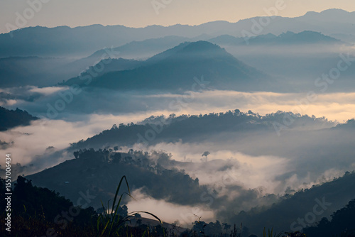 High-angle view of the mountain with lush green forest in Thailand. There is fog covering around in the morning. Fresh trees in the winter season. The idea for a nature background with copy space.