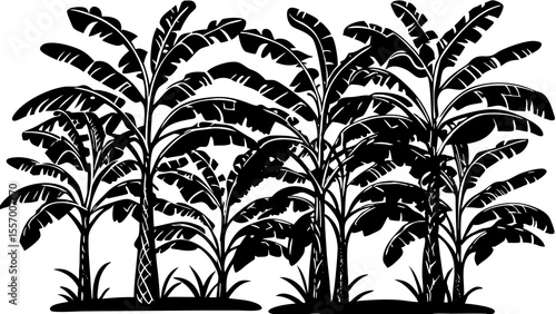 Illustration of a group of banana trees with large leaves in a dense tropical arrangement style
