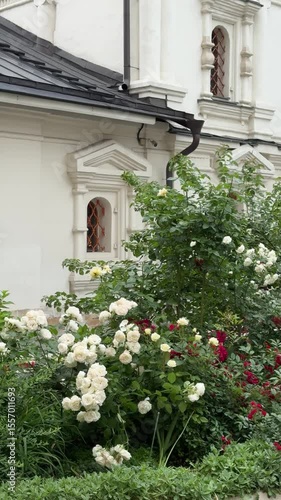 house with flowers. a rose garden against the backdrop of beautiful historical Russian architecture.