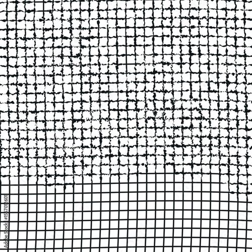 Texture in the form of a lattice with partial distortion of cells.