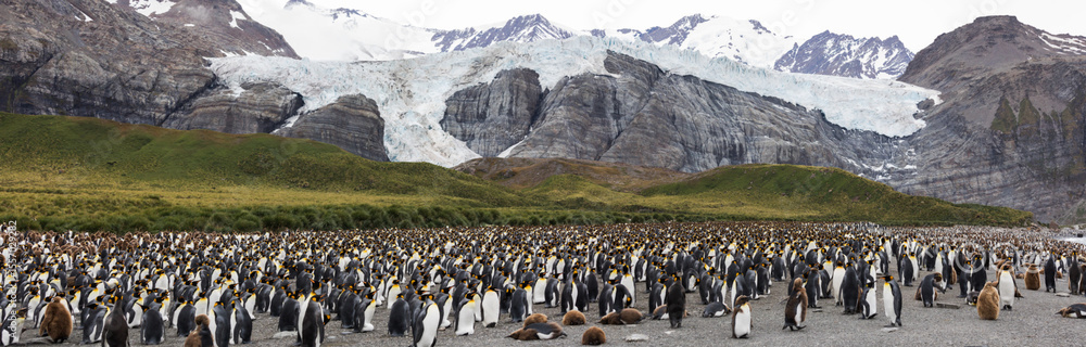Obraz premium Antarctica view. Seascape and landscape of Antarctica. Glaciers and Southern Ocean