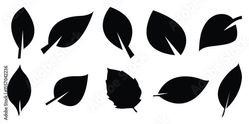 Set of black leaf icons. Leaves silhouette of trees and plants icon. Elements design for natural, eco, bio, vegan labels. leaf herb green simple graphic pictogram. Vector illustration. 
