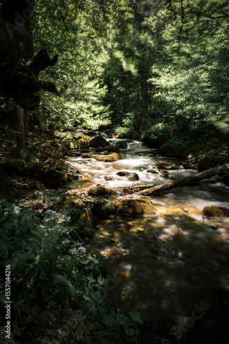 canton de neste verticale chemin