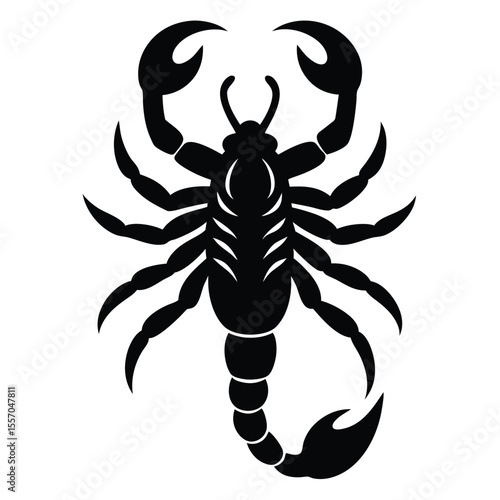 scorpion tattoo vector