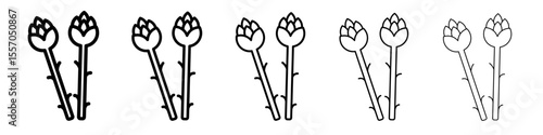 asparagus icon vector outline symbol or illustration