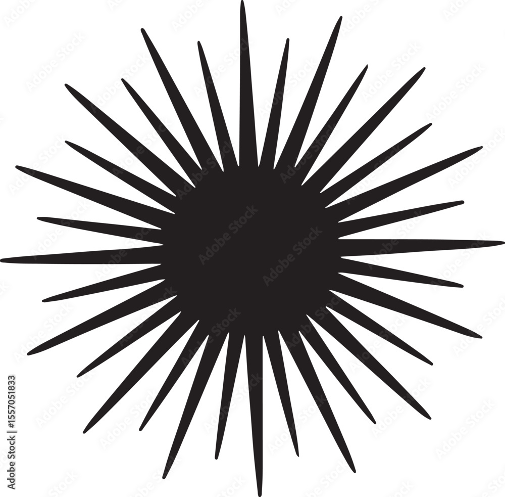 Obraz premium sea urchin vector