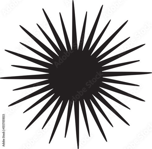 sea urchin vector