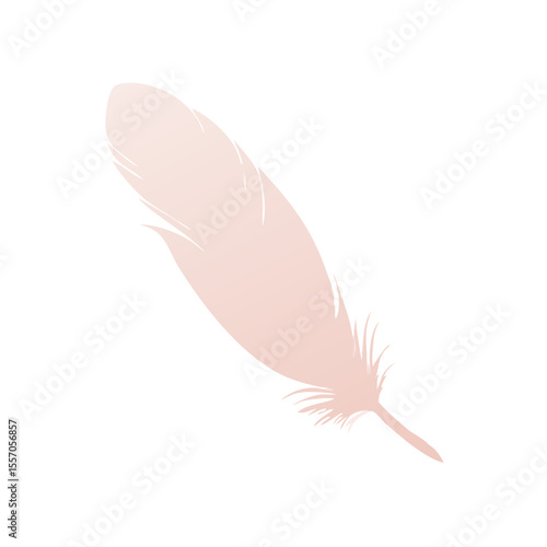 pink feather isolated on white