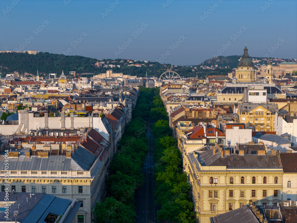 Fototapeta premium Andrassy street in Budapest, Hungary. Giant ferris wheel on the background