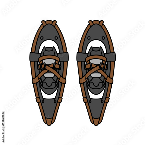 Bear paw style snowshoes with straps, winter hiking gear