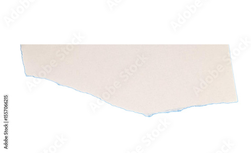 Torn paper isolated. Torn paper on white background. Paper different scraps set ripped page piece.	