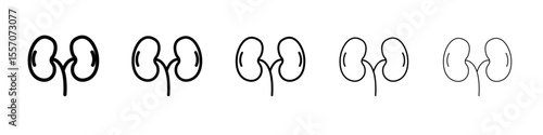 Human kidneys icon vector outline symbol or illustration