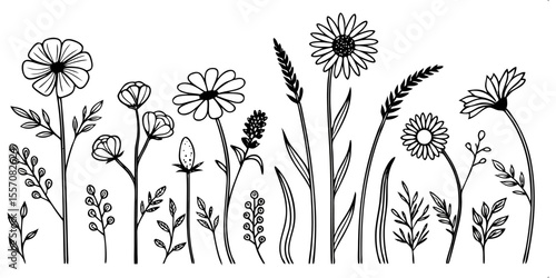 Field Flowers in Black and White: A delicate and detailed line drawing portrays a variety of wildflowers, each bloom and stem carefully rendered to evoke a sense of serene beauty.