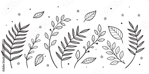 Botanical Sketchbook: A delicate black and white illustration showcases an array of plant life, inviting contemplation of nature's intricate beauty. 