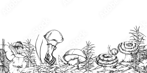Milk-cap russula suillus larch bolete slippery jack mushrooms, snail on cap, horsetail plant on bark with moss lichen growth. Seamless banner header hand drawn in vector ink. Autumn forest floor scene