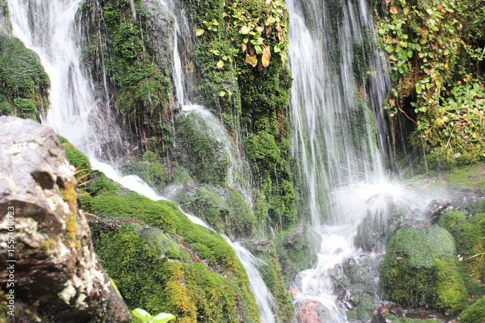 Fototapeta premium Mangawhero falls - Mossy Mountain Splashes