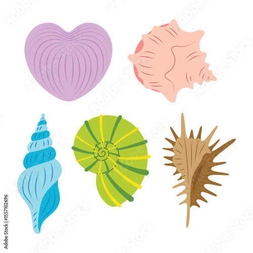 cartoon seashell set isolated