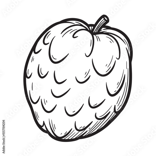 Hand drawn illustration of a single hop cone in black and white for design use