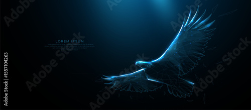 Bald eagle flying. Animal wildlife. Futuristic digital technology. Low polygonal, wireframe, linear and mesh illustration