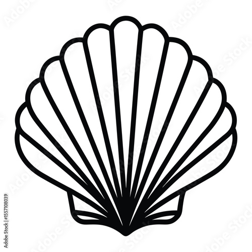 Minimal Seashell Outline Vector Illustration