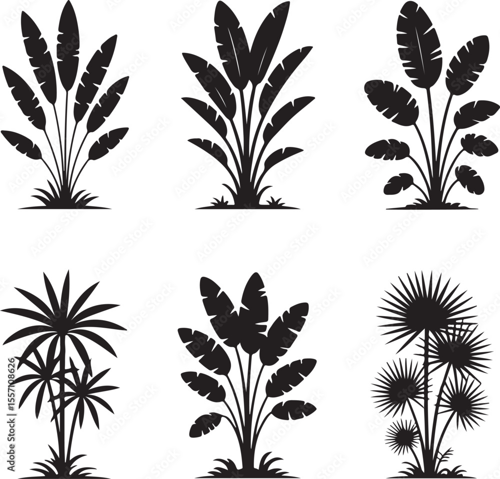 A Set of Tropical Plant Silhouettes Featuring Banana Trees and Fan Palms in Black and White for Graphic Design A Set of Tropical Plant Silhouettes Featuring Banana Trees and Fan Palms in Black and White for Graphic Design