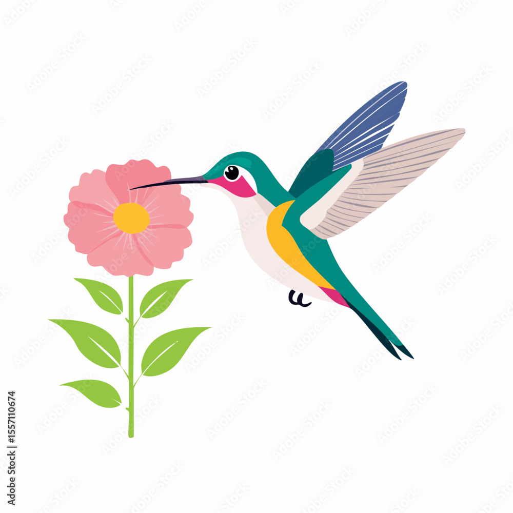 Obraz premium Delicate hummingbird gracefully sips nectar from a soft pink flower, a vibrant and elegant design element for spring or summer themes.