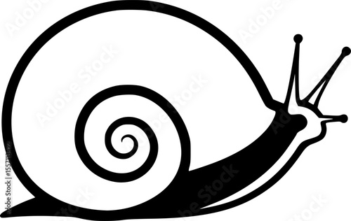 sea snail line art silhouette vector illustration
