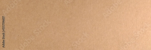 Brown paper texture background. Vector illustration.