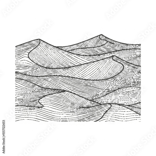 Detailed line drawing of sand dunes, showcasing their textured surfaces and undulating forms.