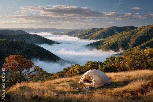 Campsite in national park banner