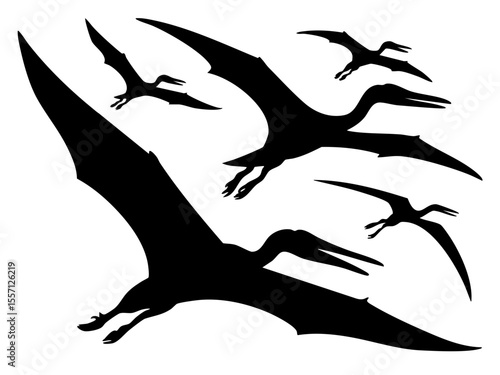 Pterodactyl silhouette vector art: flying dinosaur illustration for prehistoric era designs and educational use